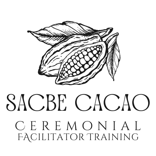  Floating cacao pod image